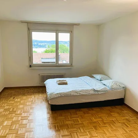4 Flat - 3 Bedroom, Balcony With View Hwa5 Zurich