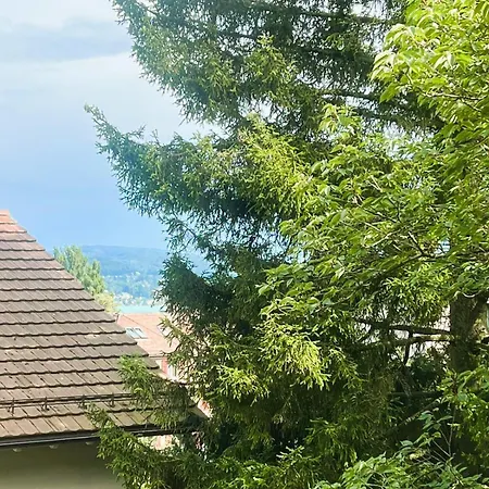 Διαμέρισμα 3 Old Town Flat - Munsterb Ζυρίχη