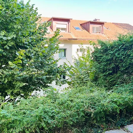 3 Room Old Town Flat - Munsterb Апартаменты Цюрих
